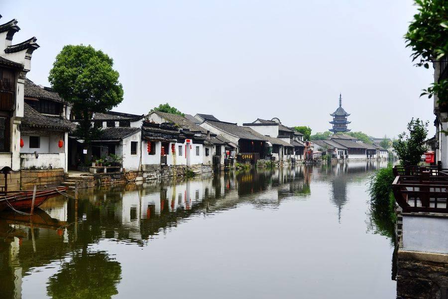 国潮家电旺销 苏宁易购国产洗地机销售占比超90%